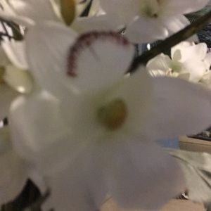 Meet your Posher, Fiona butthead